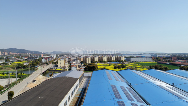 4噸燃?xì)忮仩t